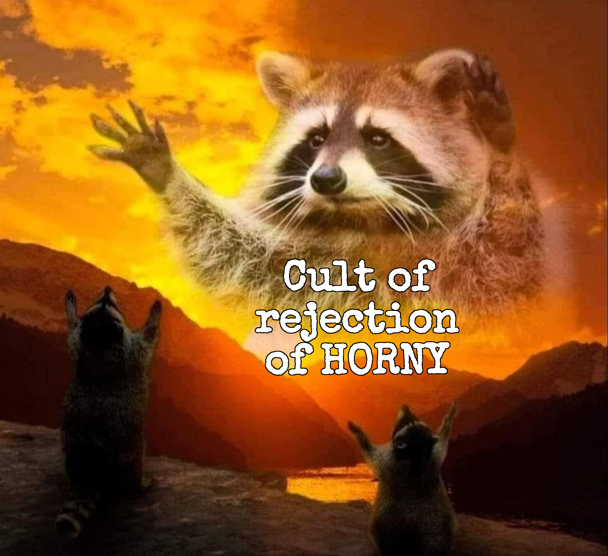 coroh_raccoon